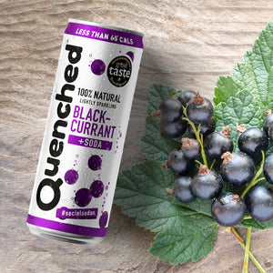 
                  
                    Load image into Gallery viewer, Blackcurrant &amp;amp; Soda 330ml
                  
                